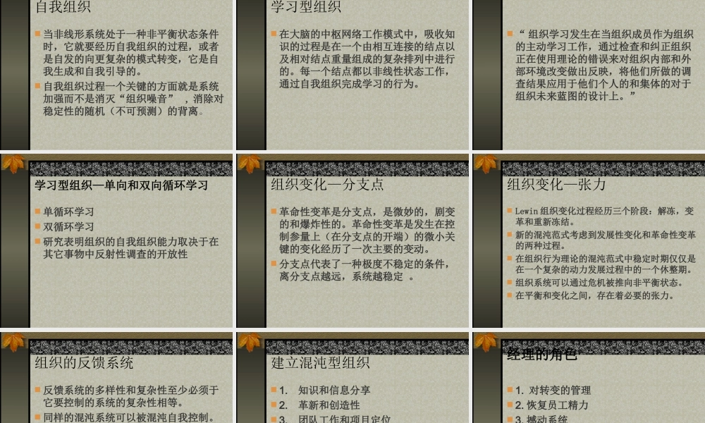 混沌理论与管理思想的发展.ppt