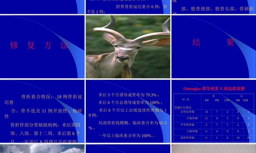 固骼生应用2.ppt