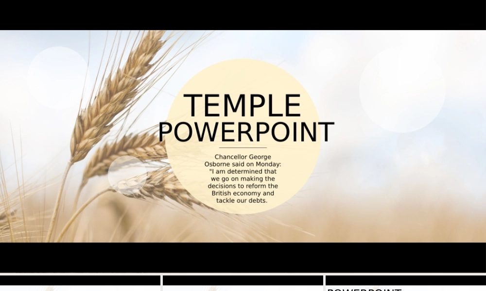 亮亮图文模板05.pptx