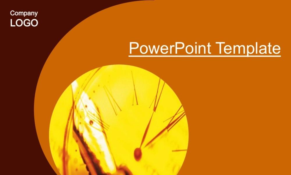 TG商务咖啡色PPT模板.ppt