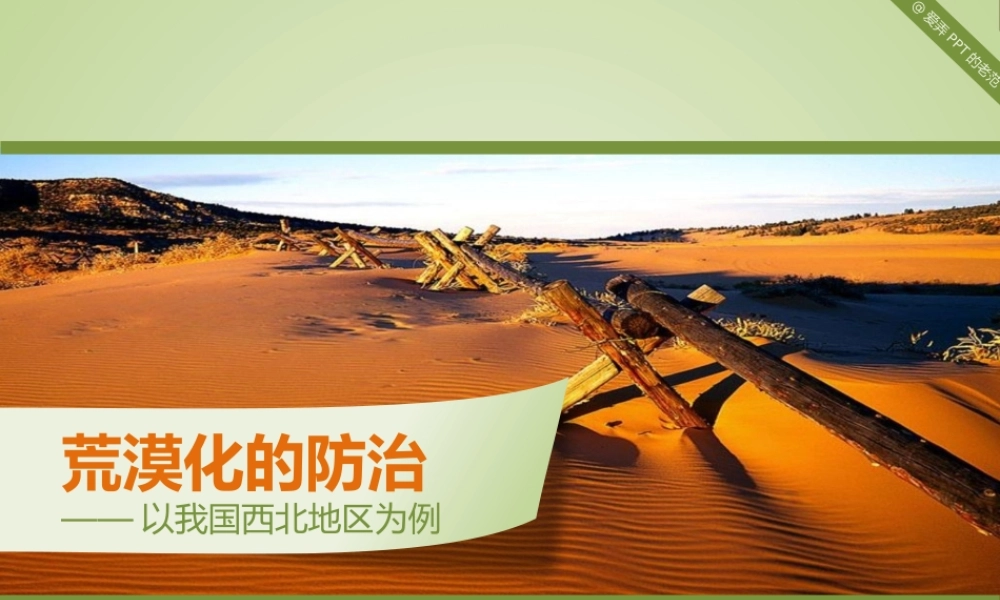 动态 182 亮亮图文.pptx