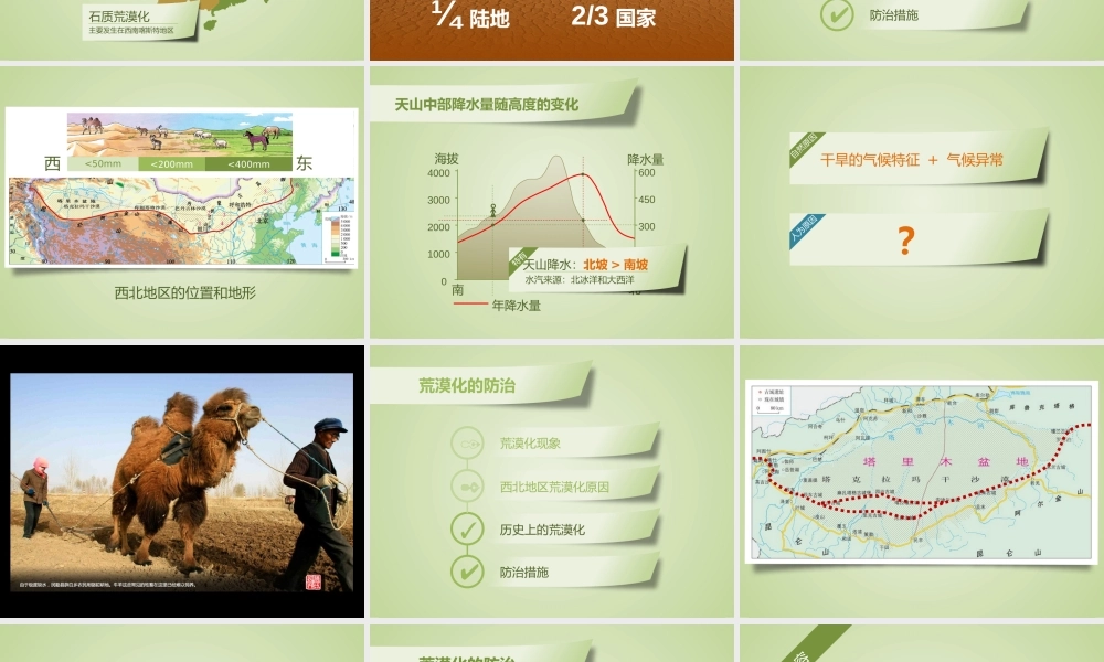 动态 182 亮亮图文.pptx