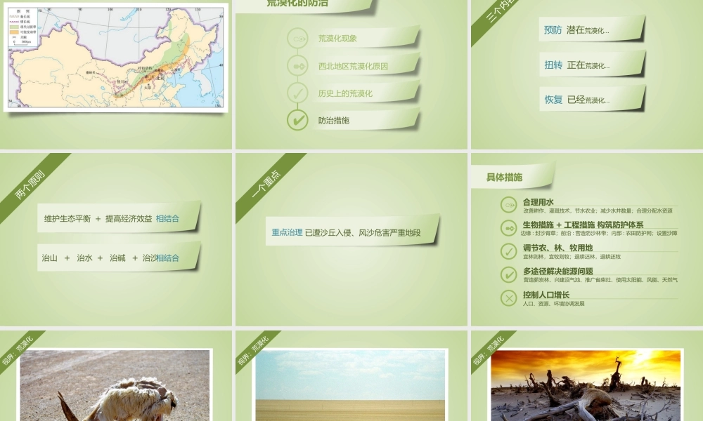 动态 182 亮亮图文.pptx