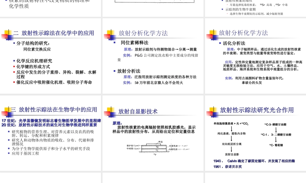 放射性示踪.ppt