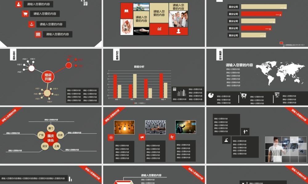 静态 46 亮亮图文.pptx