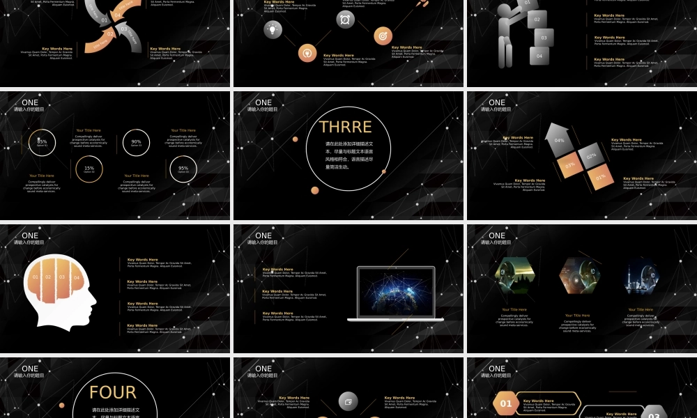 产品发布 (12).pptx