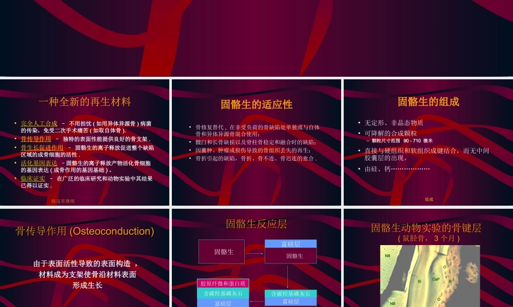 固骼生简介1.ppt