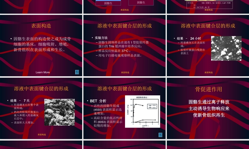 固骼生简介1.ppt