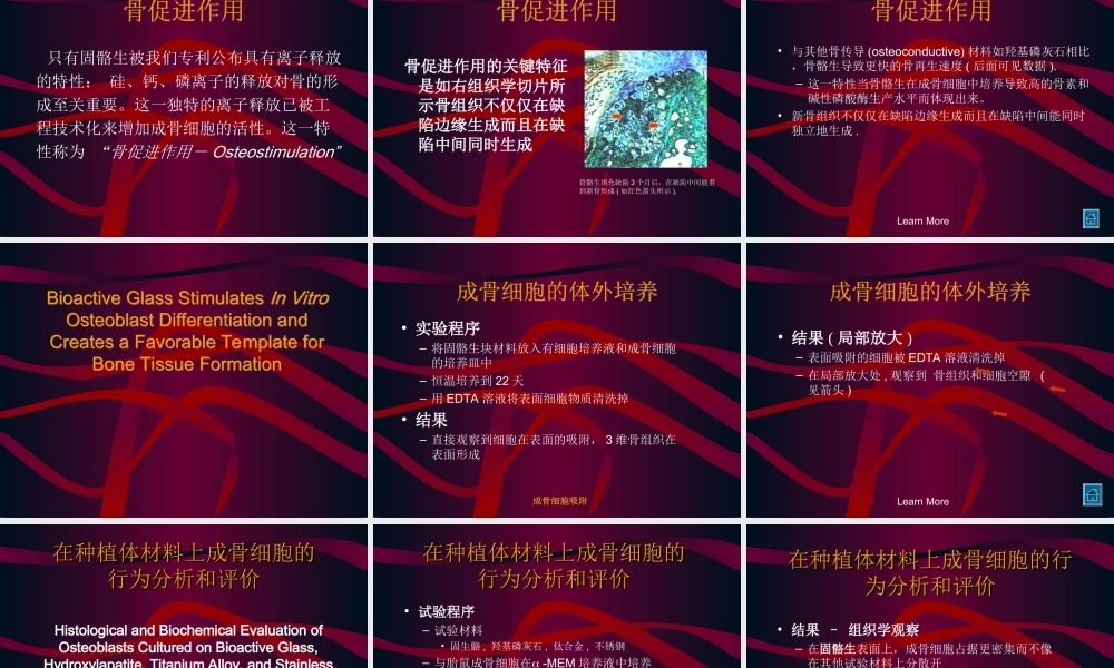 固骼生简介1.ppt