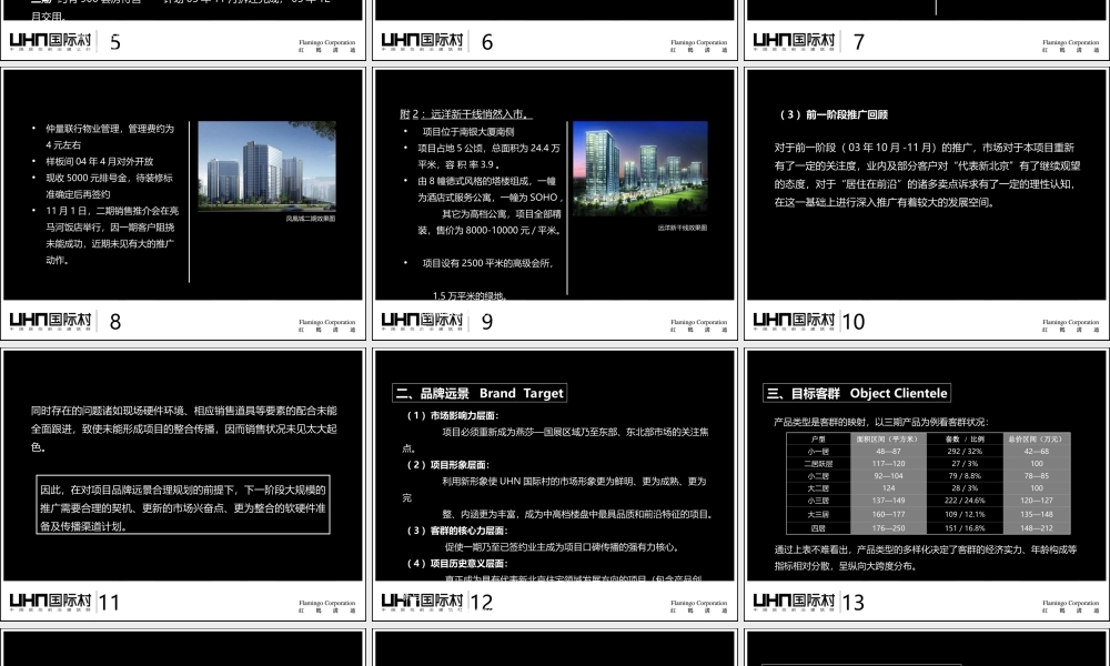 红鹤广告-UHN三期推广策略-89PPT.ppt
