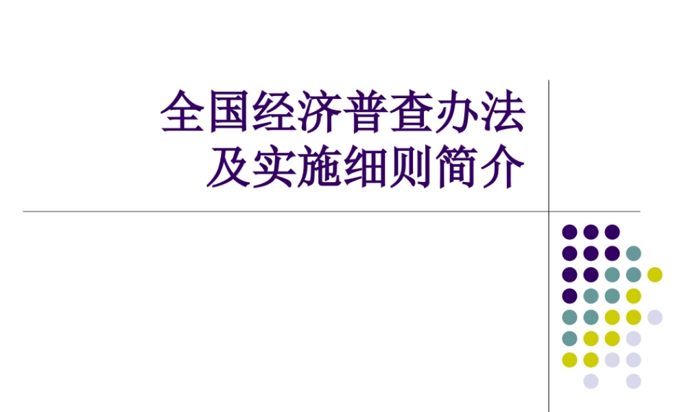 第一次全国经济普查办法及实施细则.ppt