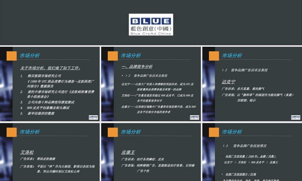 蓝创提案标准模本之二（市场分析）.ppt