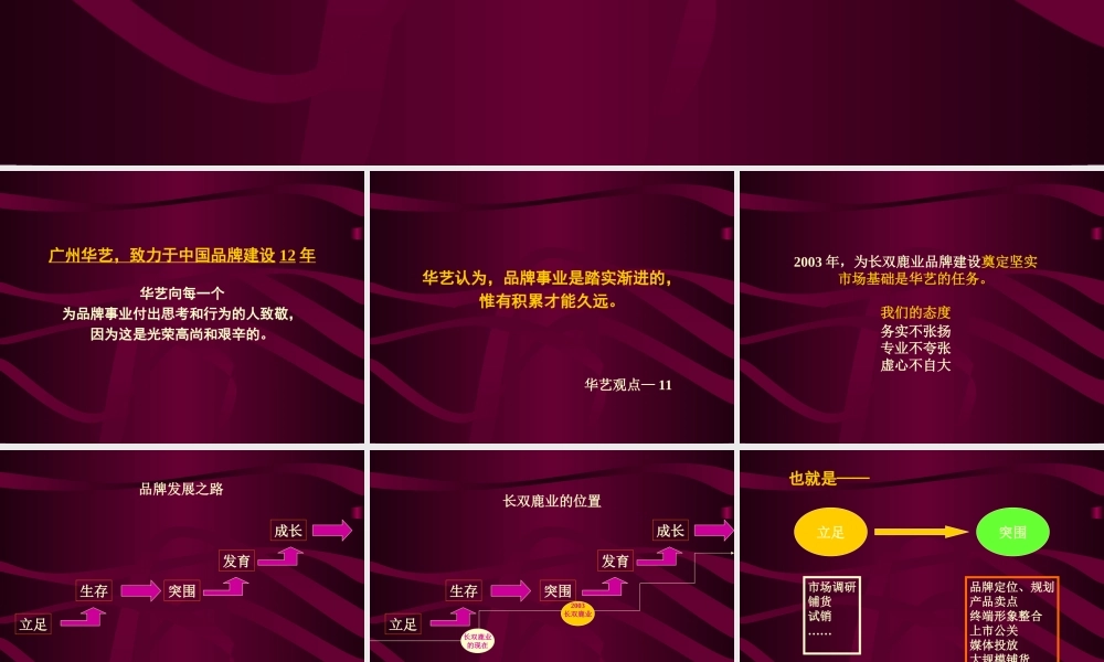 广州华艺-长双鹿业品牌战略思考.ppt