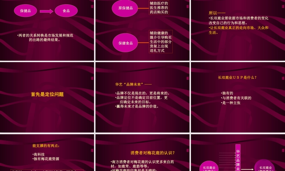 广州华艺-长双鹿业品牌战略思考.ppt