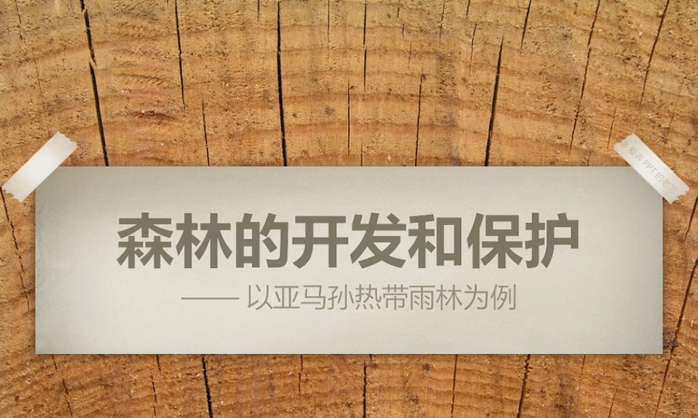 动态 180 亮亮图文.pptx