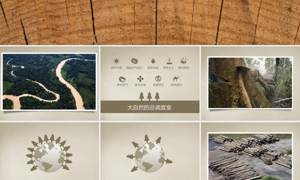 动态 180 亮亮图文.pptx