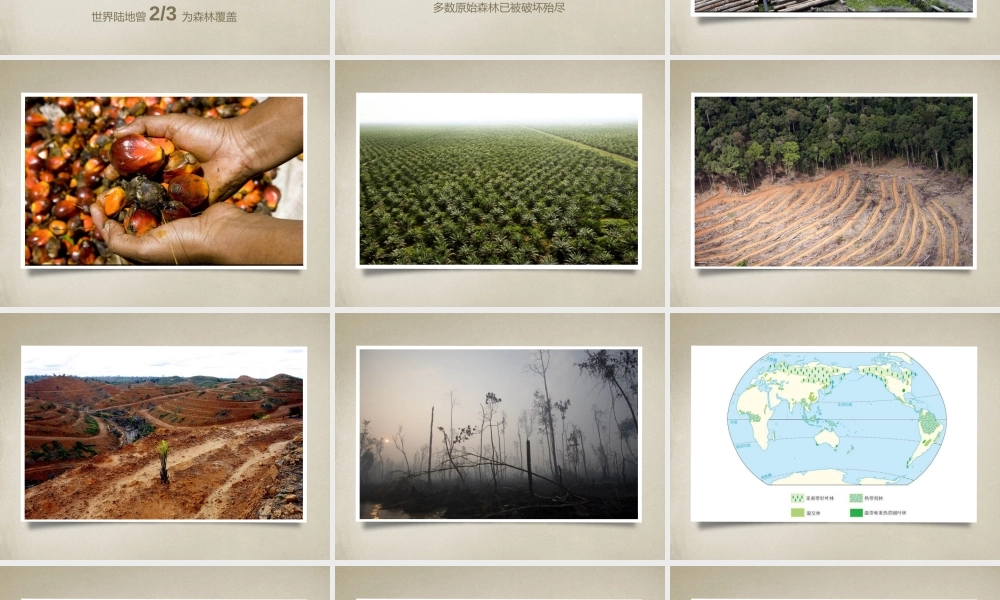 动态 180 亮亮图文.pptx