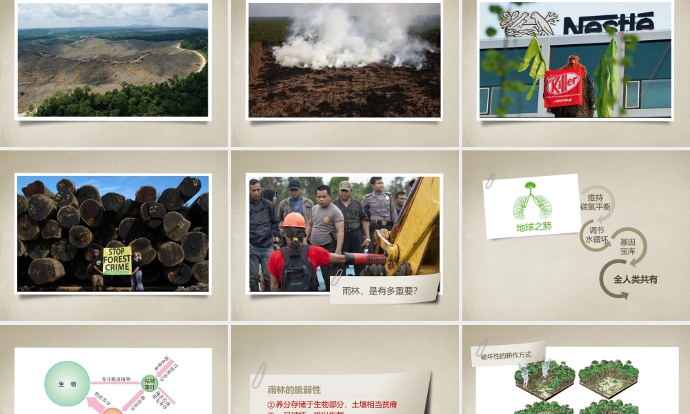 动态 180 亮亮图文.pptx