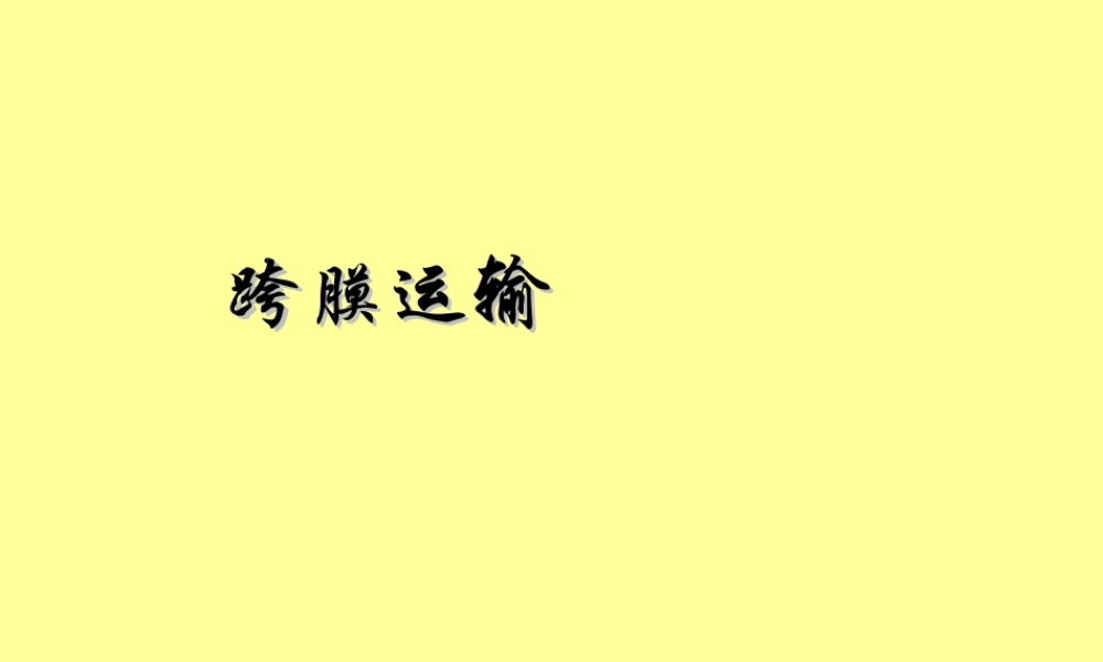 跨膜运输.ppt