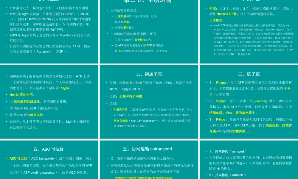 跨膜运输.ppt