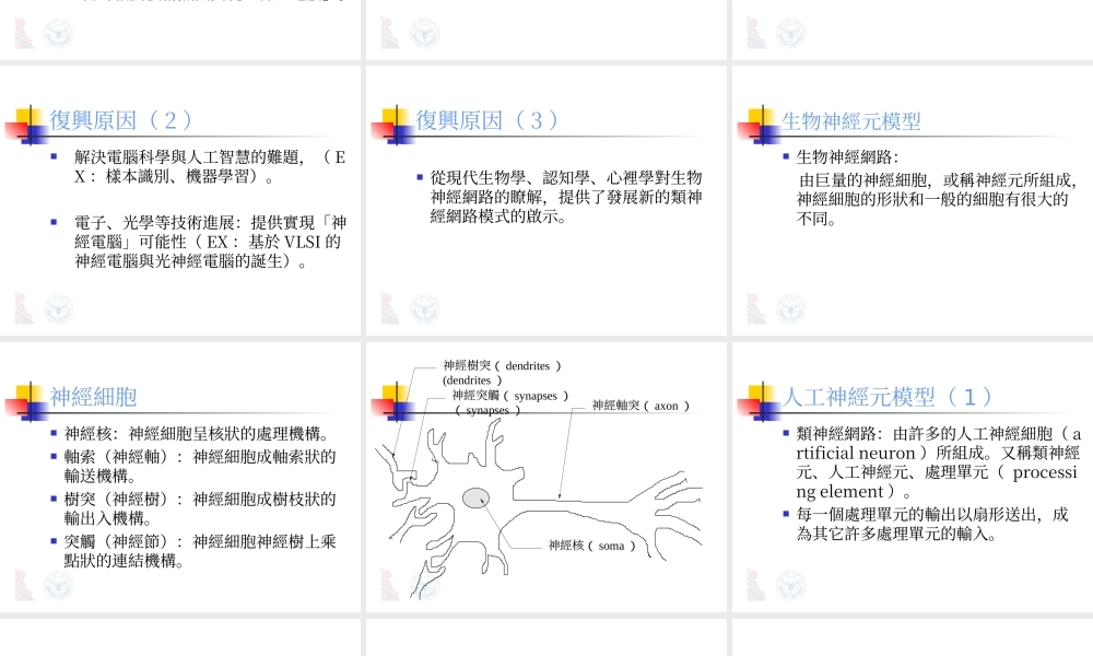 泛朦第三系—神經系.ppt