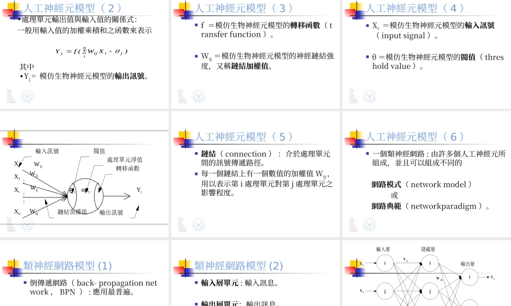 泛朦第三系—神經系.ppt