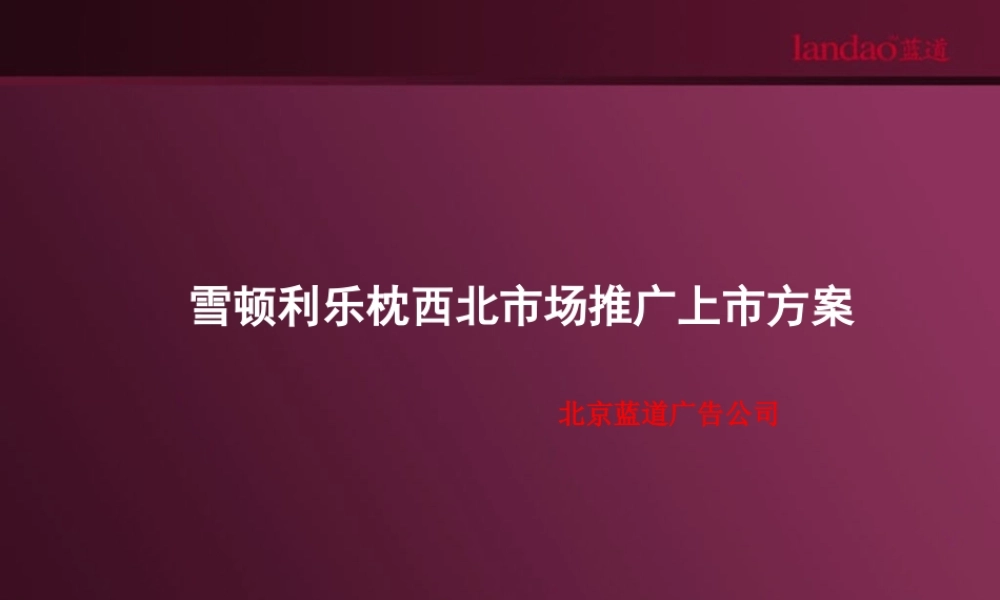 蓝道-雪顿利乐枕西北市场推广上市方案.ppt