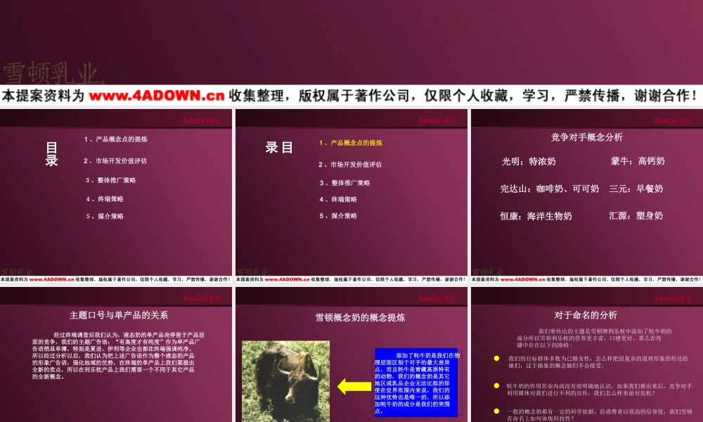 蓝道-雪顿利乐枕西北市场推广上市方案.ppt