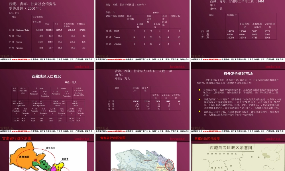 蓝道-雪顿利乐枕西北市场推广上市方案.ppt