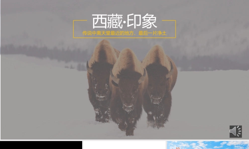 亮亮图文动态模板(新) (25).pptx