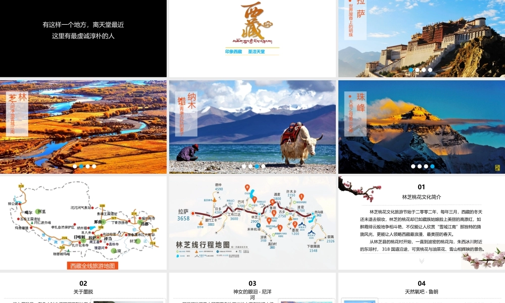 亮亮图文动态模板(新) (25).pptx