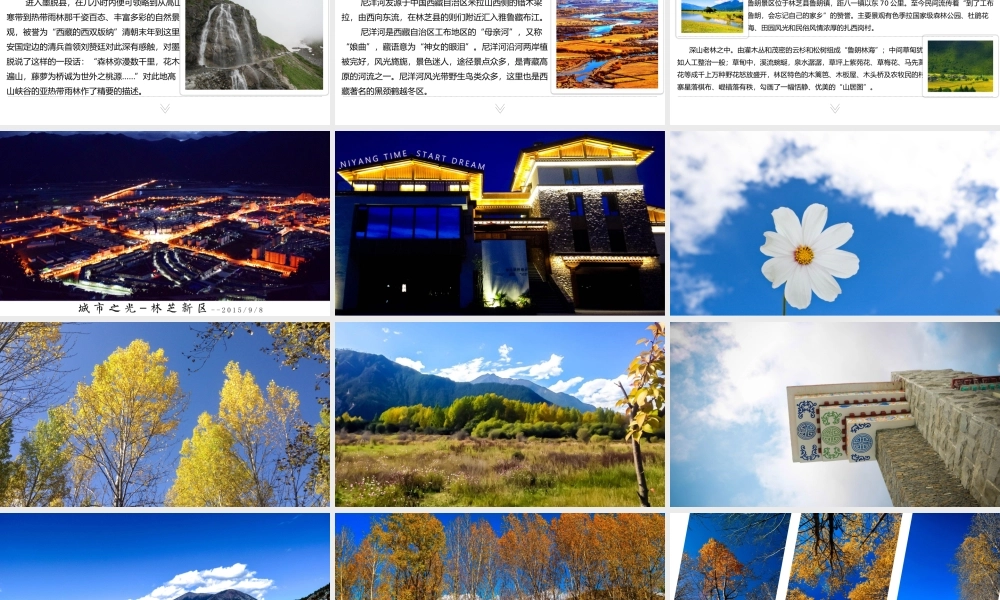 亮亮图文动态模板(新) (25).pptx