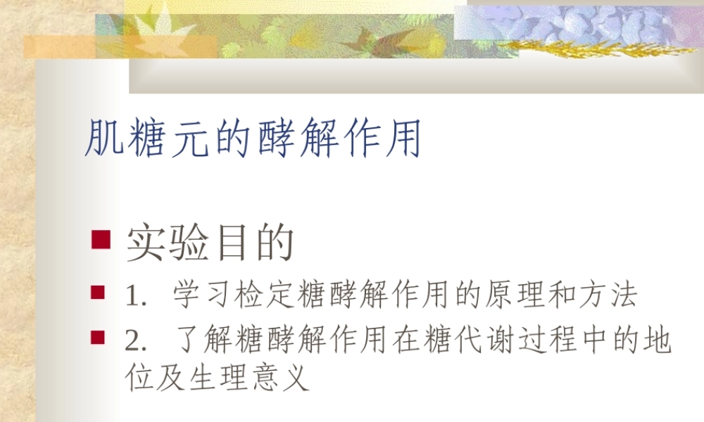 肌糖元的酵解作用.ppt