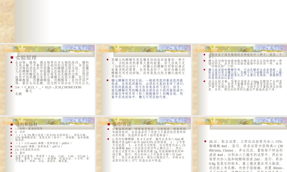 肌糖元的酵解作用.ppt