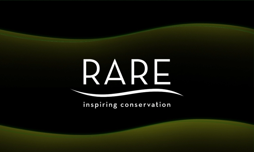 简笔画深绿色模板.pptx