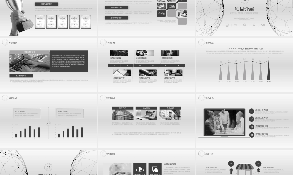 简洁风格(10).pptx