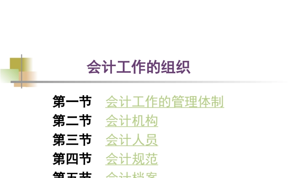 会计工作的组织.ppt