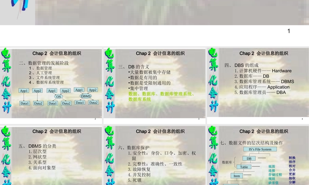 会计信息的组织.ppt