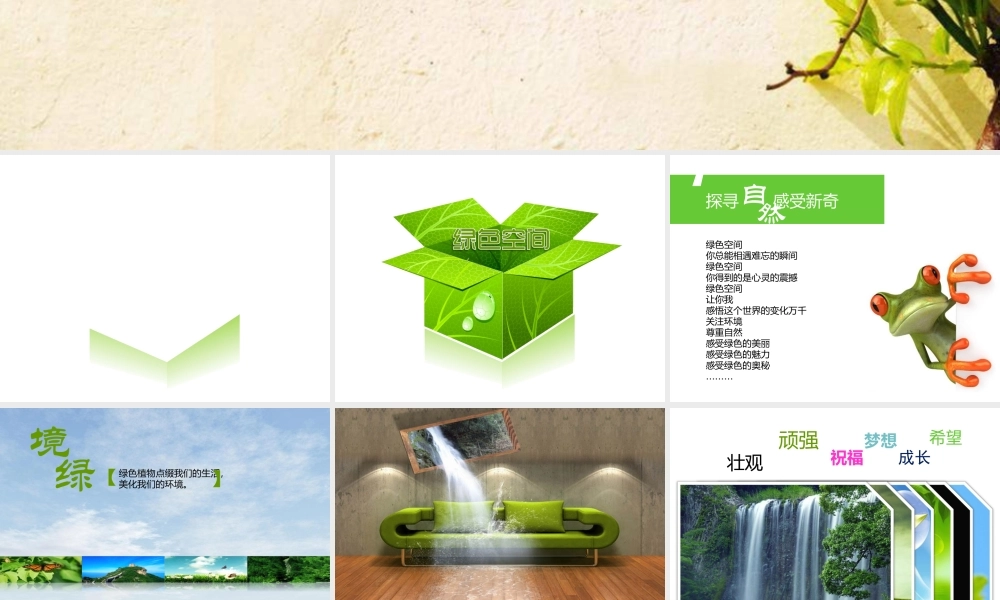 动态 01 亮亮图文.ppt