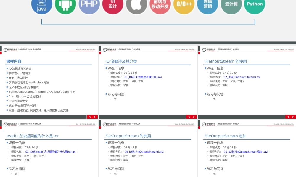 （020-IO(字节流)）.pptx