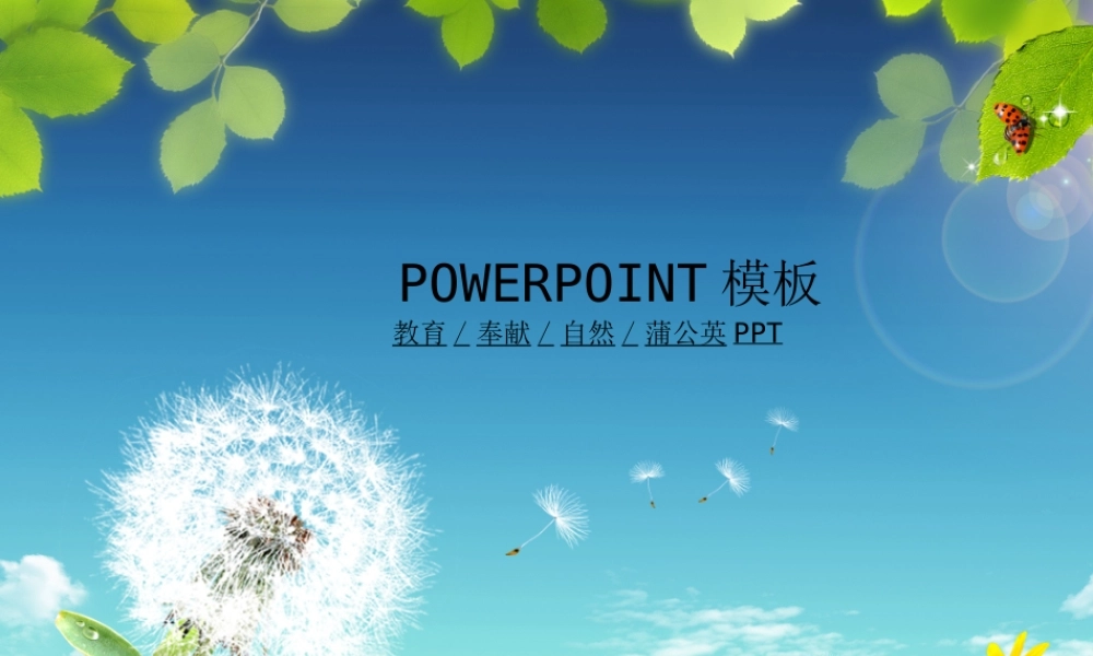 节日庆典(44).ppt