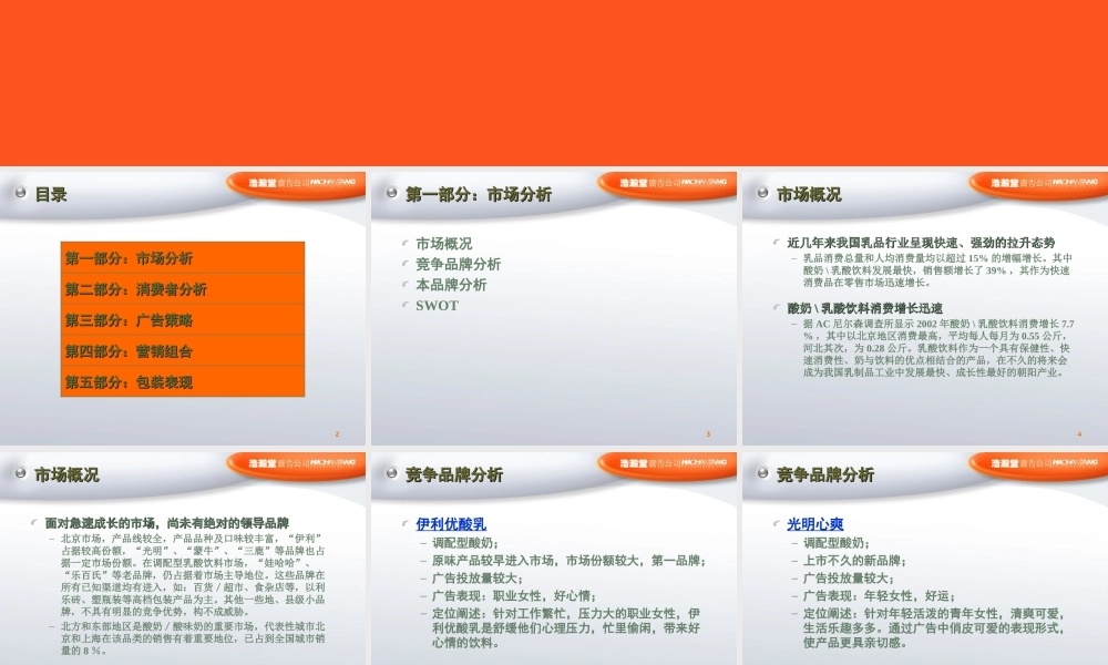 浩瀚堂-三元酸乳饮料产品概念及上市推广策略.PPT