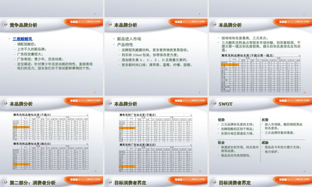 浩瀚堂-三元酸乳饮料产品概念及上市推广策略.PPT