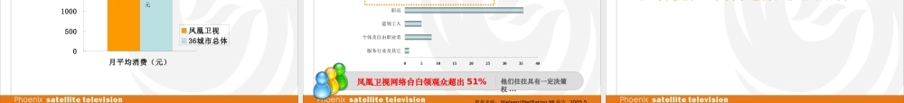 凤凰卫视网络直播联播平台广告方案 .ppt