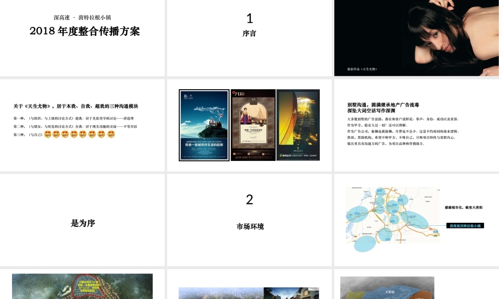 74.深圳黑骑广告-茵特拉根年度整合推广方案.pptx