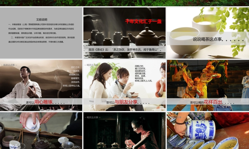 品牌体系-杯包-茶叶品牌策划 (3).pptx
