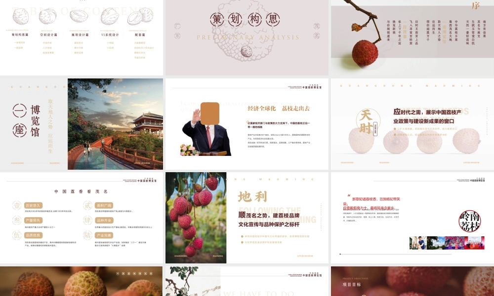 中国荔枝博物馆展示设计规划方案 (2).pptx