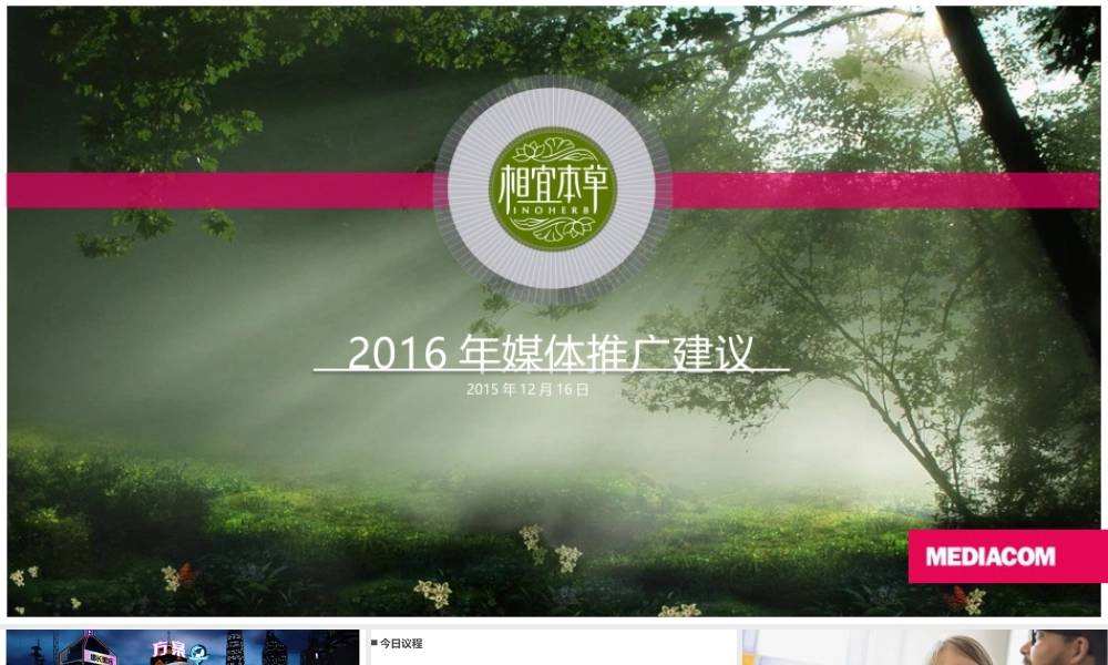 38.相宜本草年度媒体推广建议.pptx