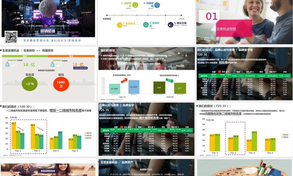 38.相宜本草年度媒体推广建议.pptx