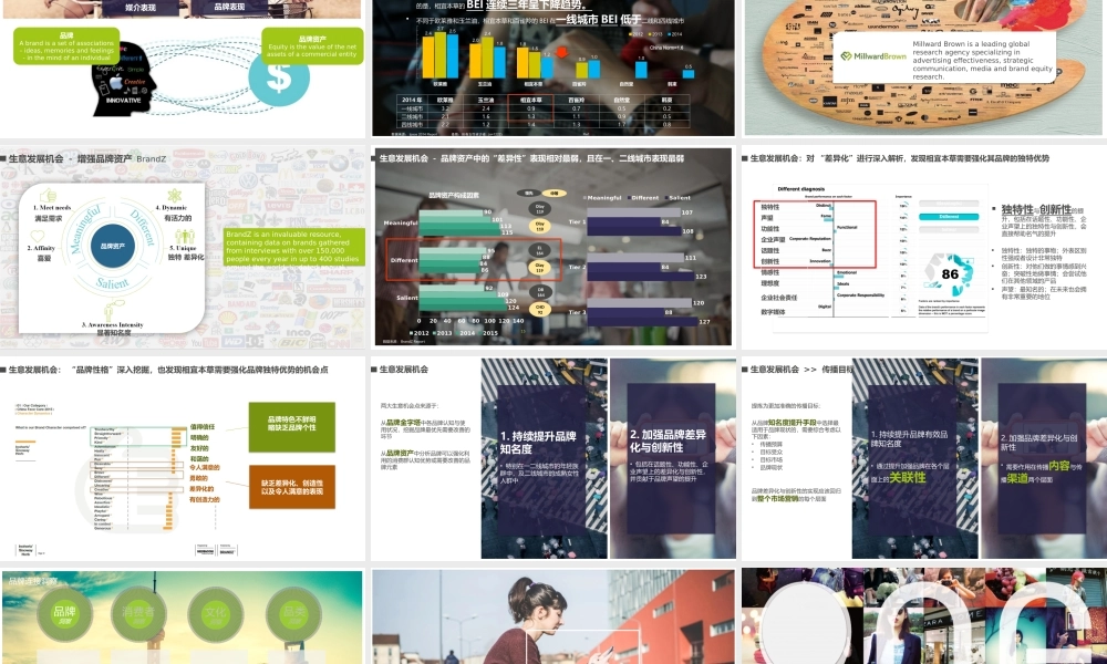 38.相宜本草年度媒体推广建议.pptx